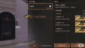 圣女战旗